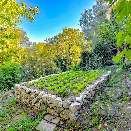 - Luxury Retreat With Pool, Umbria Vila