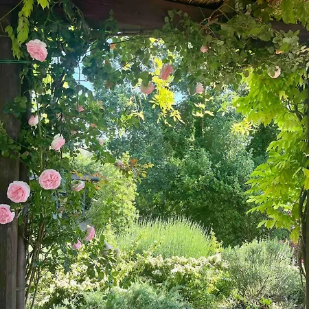 - Luxury Retreat With Pool, Umbria *