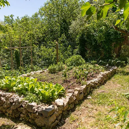 - Luxury Retreat With Pool, Umbria Vila